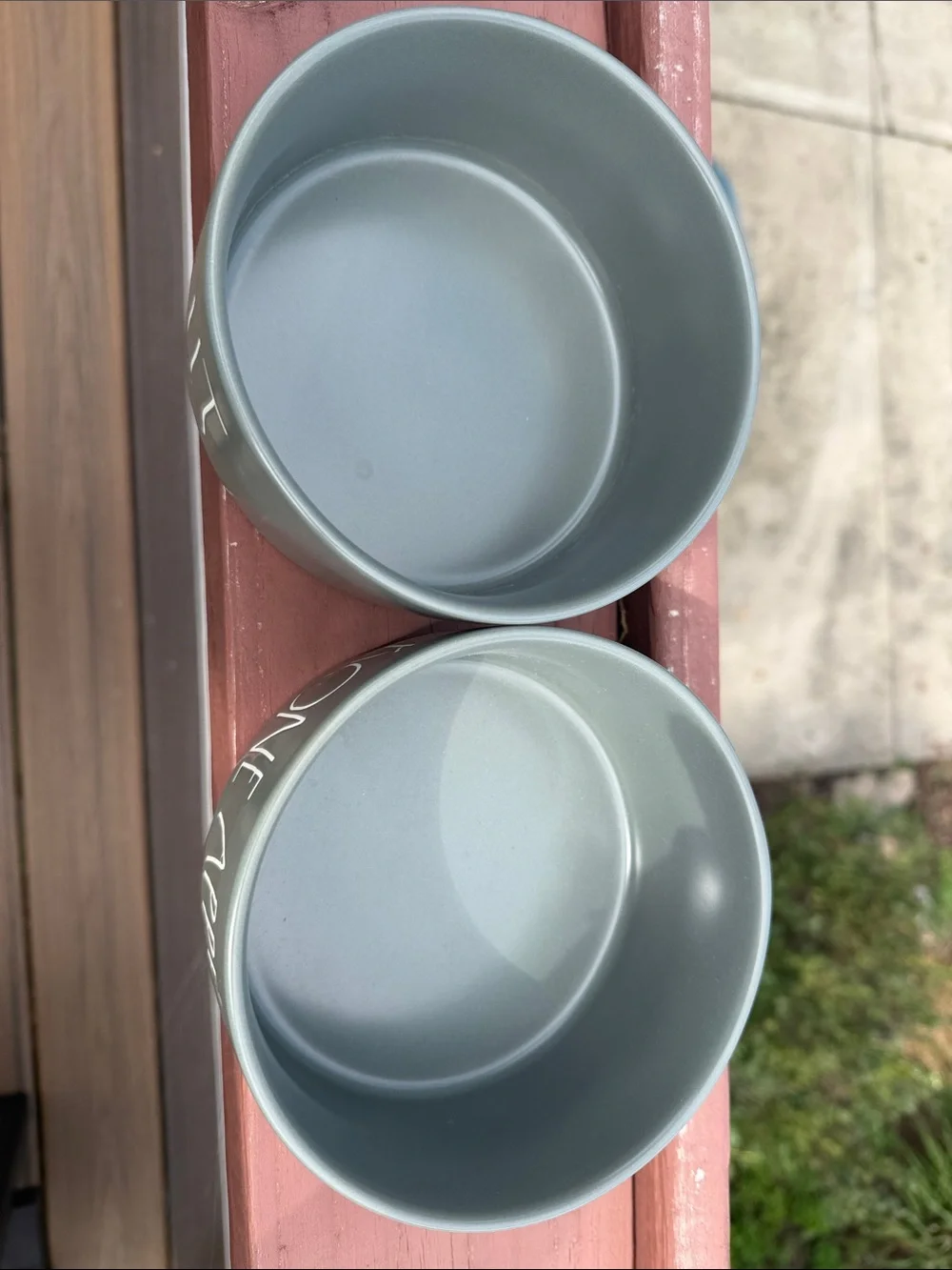 Rae Dunn dog bowls EUC